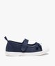 BLEU STANDARD
