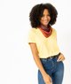 JAUNE STANDARD