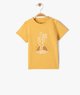 JAUNE STANDARD