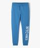 BLEU STANDARD
