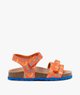 ORANGE STANDARD