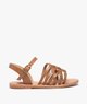 MARRON STANDARD