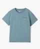 BLEU STANDARD