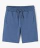 BLEU STANDARD