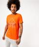 ORANGE STANDARD